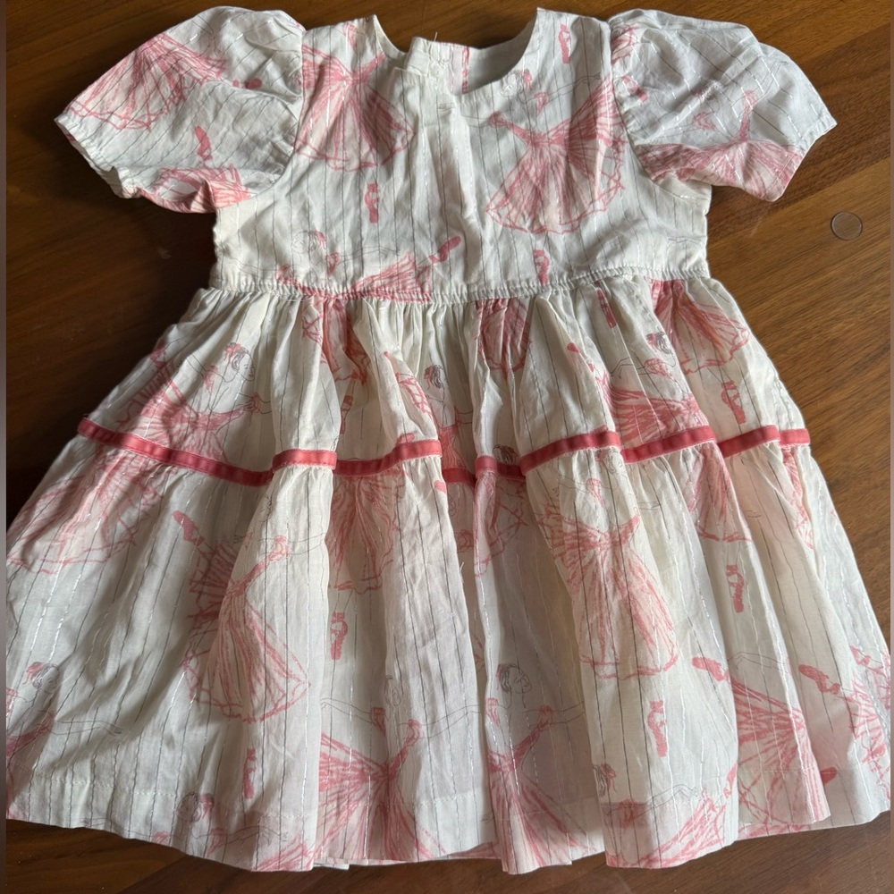 Pink chicken meredith dress ballerinas 2Y nwt